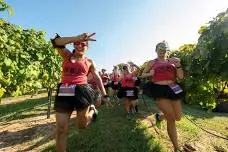 2026 Wicked Wine Run Syracuse, NY