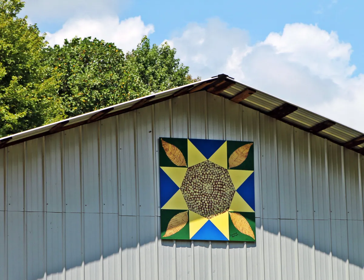 Quilt Trail Square - Buckpigg Plantation