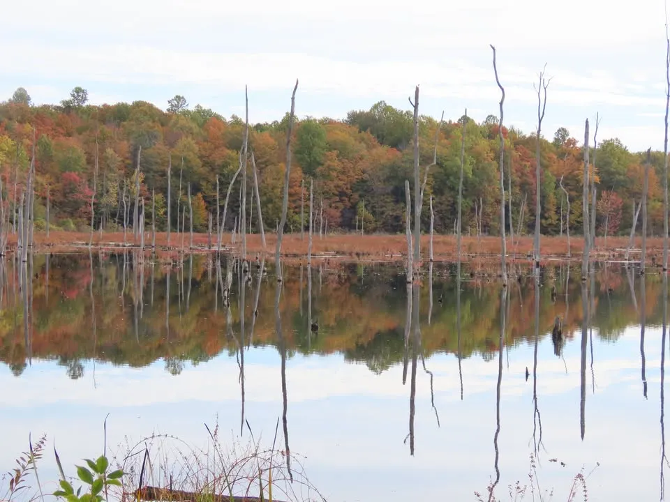 Fall Photo Safari at the Sterling Nature Center Fri., Oct. 16, 10am Sat., Oct. 17, 1pm
