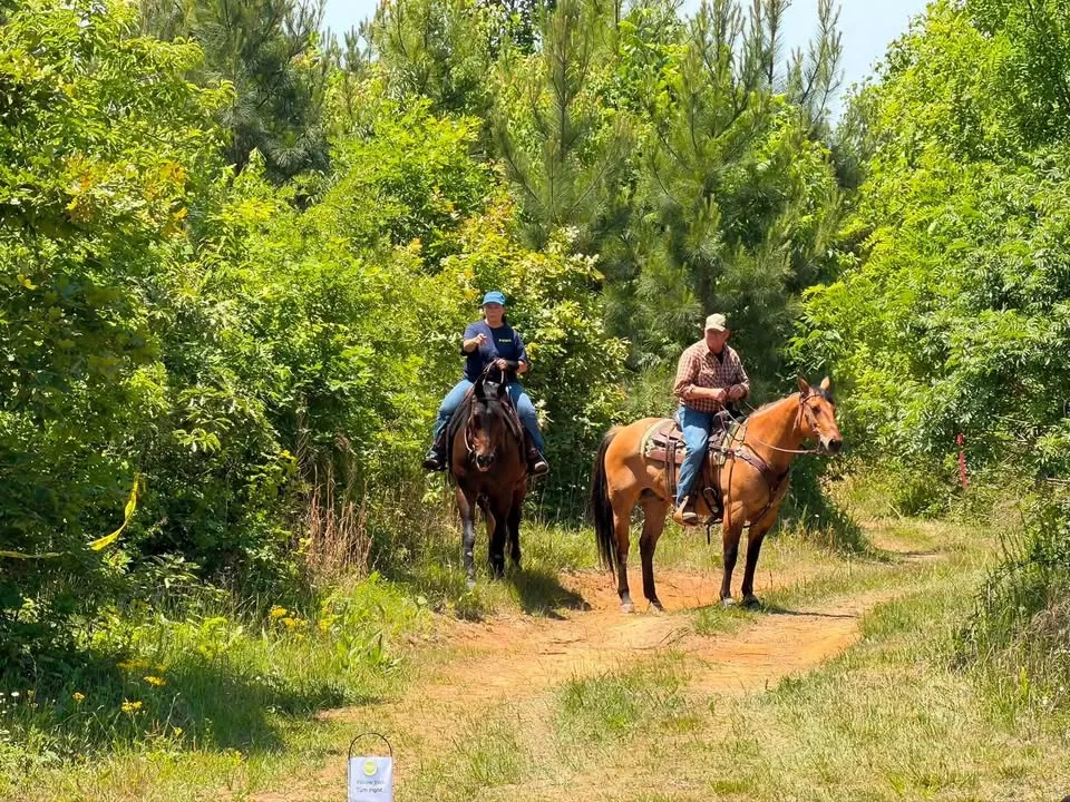 Pumpkins n' Ponies Equine Trail Sports Event