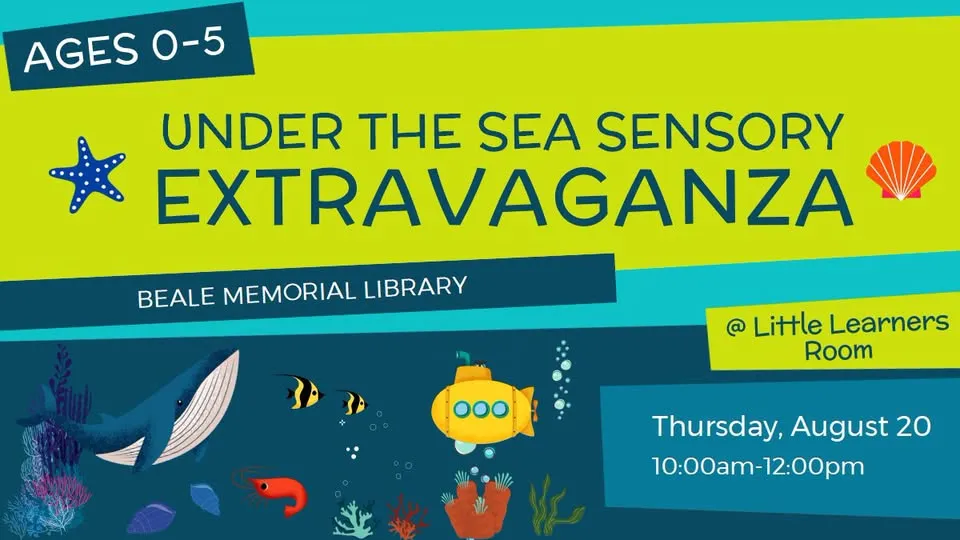 Under the Sea Sensory Extravaganza