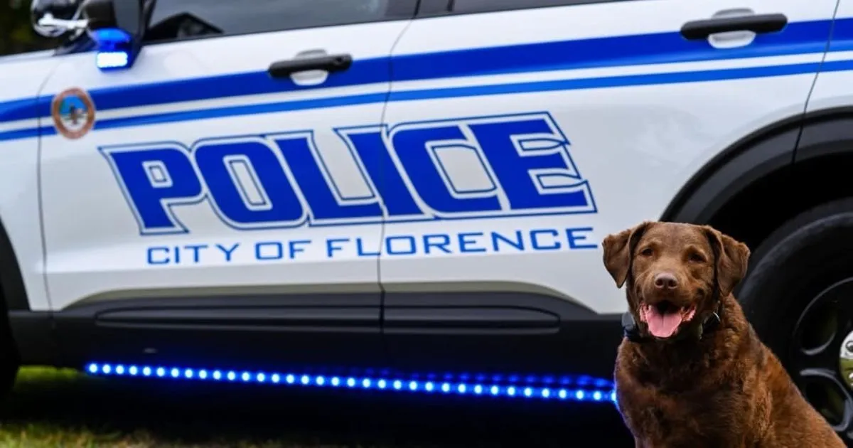 National Night Out