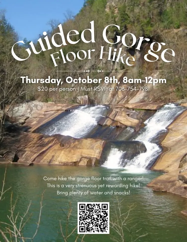 Guided Gorge Floor Hike