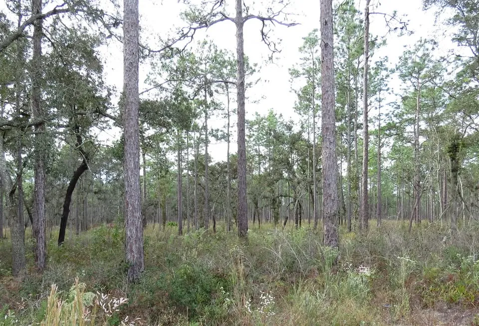 Celebrate National Public Lands Month in Hernando County