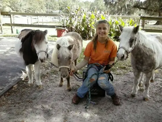Just A Bit Equestrian Center