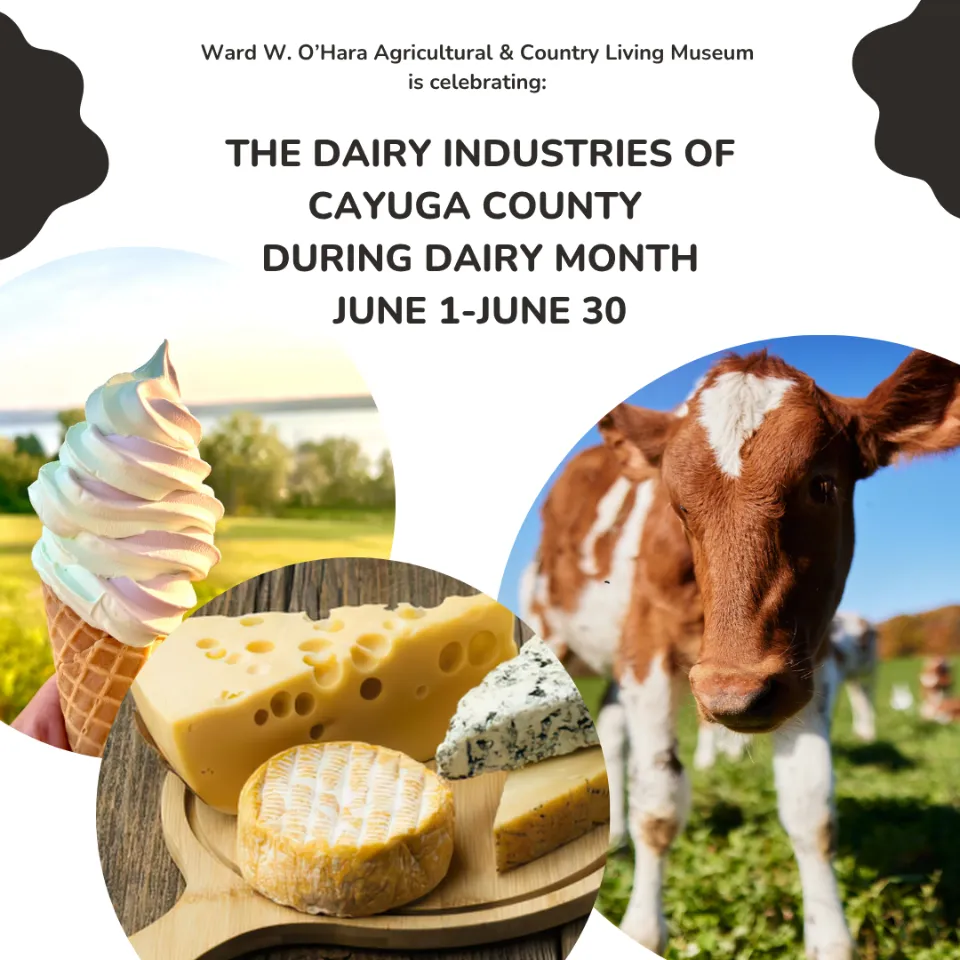 Single Event Celebrating Dairy Month
