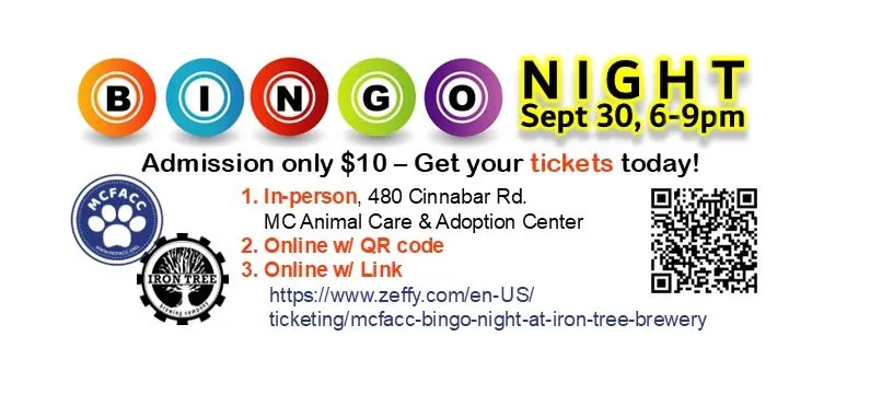 Bingo Night at Iron Tree