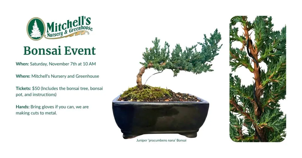 Bonsai Event