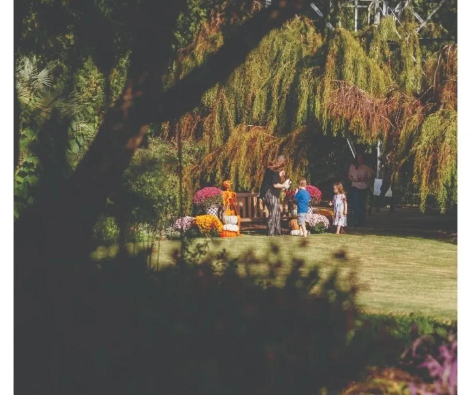 Garden Open - Fall is HERE