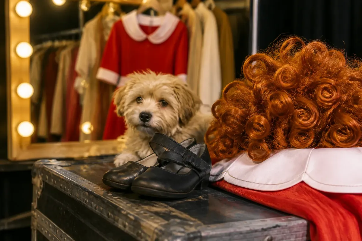 Annie Jr.