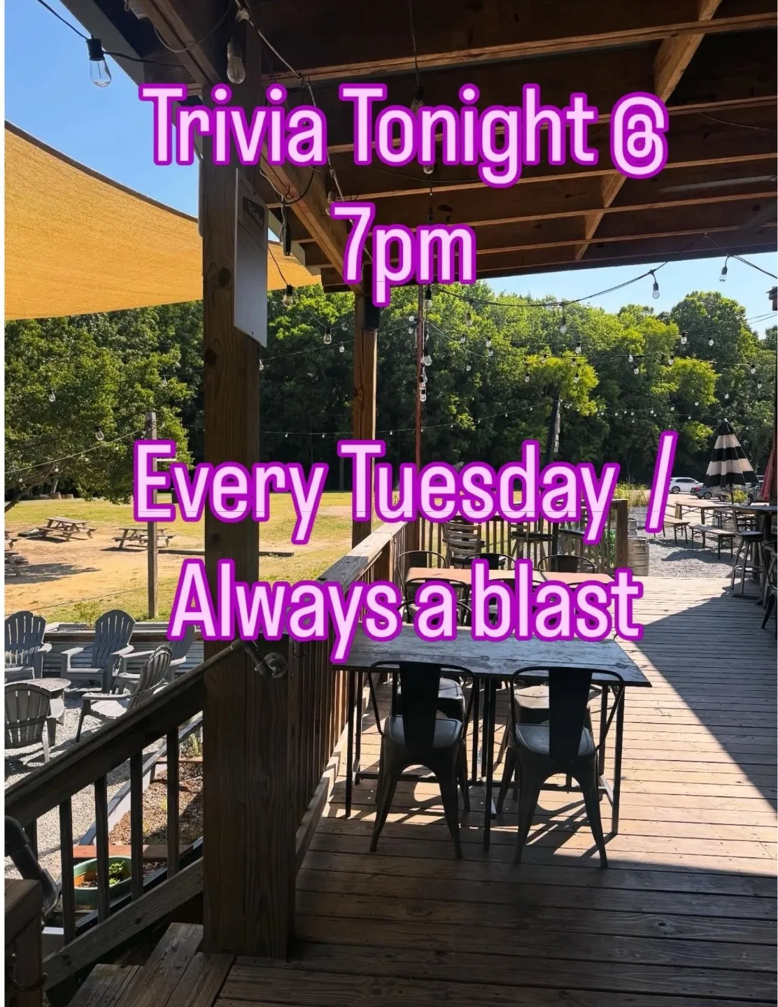 Trivia