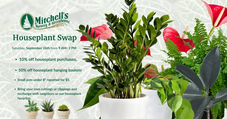 Houseplant Swap