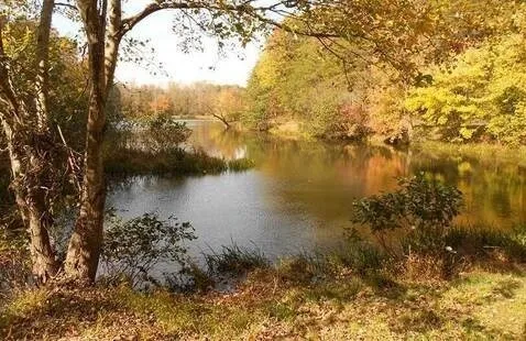 Friends of Haw River State Park Interest Meeting