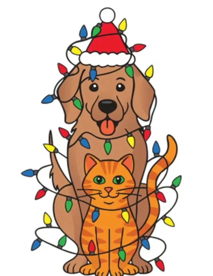 Lights 4 Paws