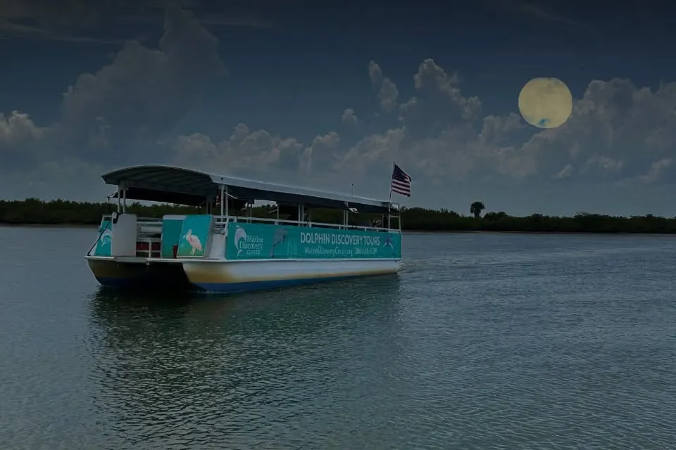 Full Moon Boat EcoTour
