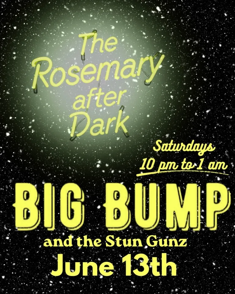 Big Bump & The Stun Gunz