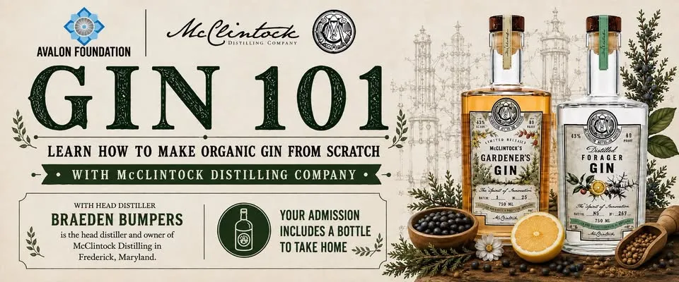 Gin 101: The Art of Gin Infusion