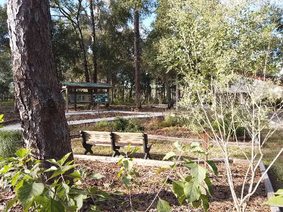 Chinsegut Conservation Center & Trails