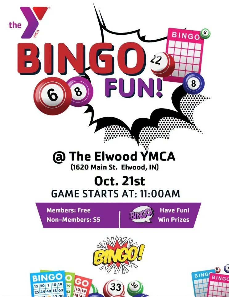 Bingo Fun