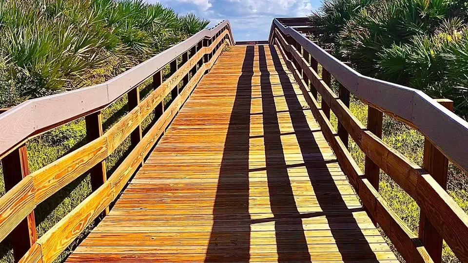 BEACH CLEANUP STROLL (Apollo District)