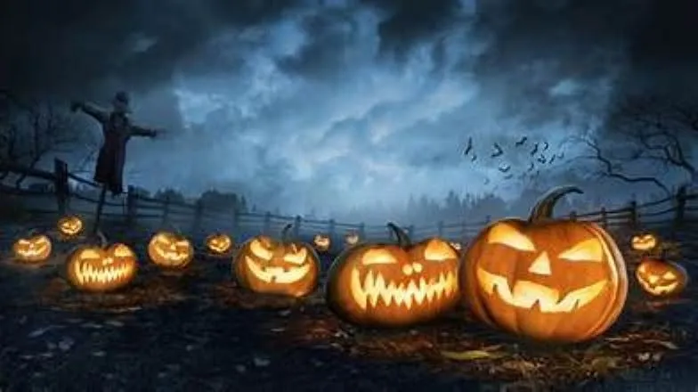 5 Fields Brewing Co. Low Key Halloween Haunts Run
