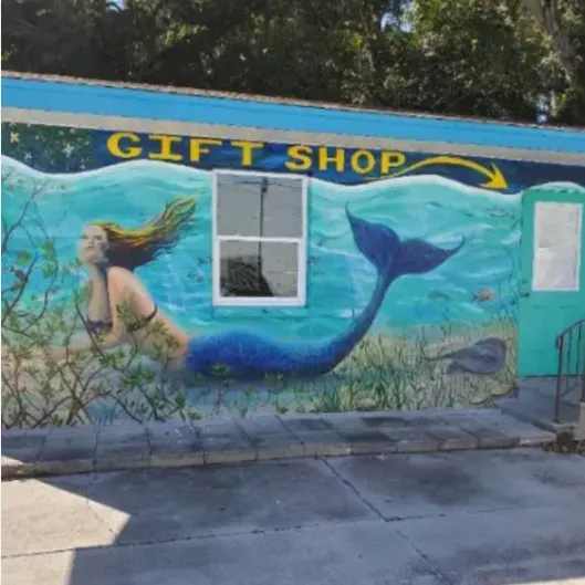 Wake Up Weeki Wachee