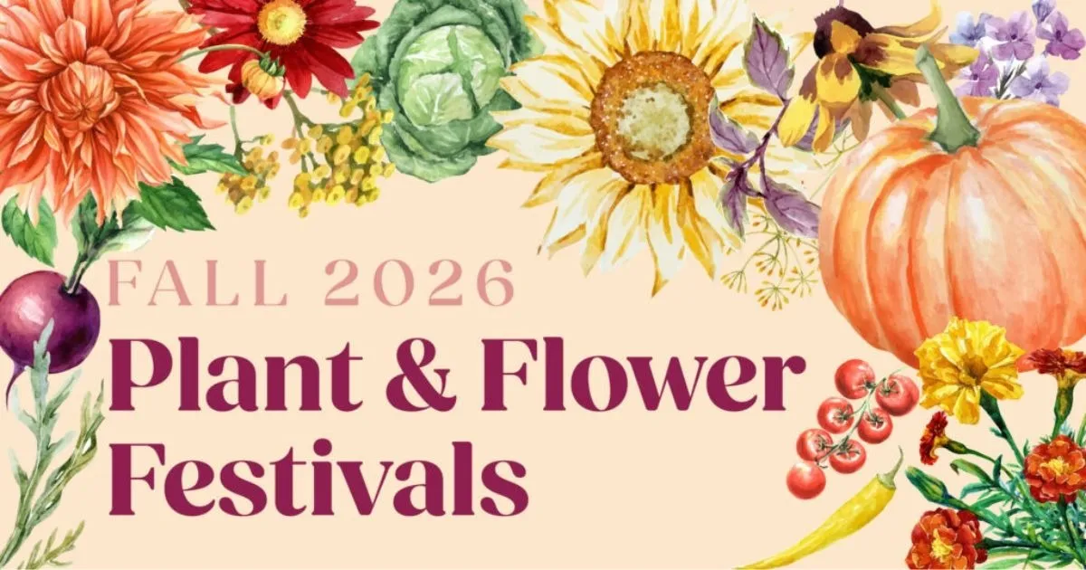 Fall Plant and Flower Festival
