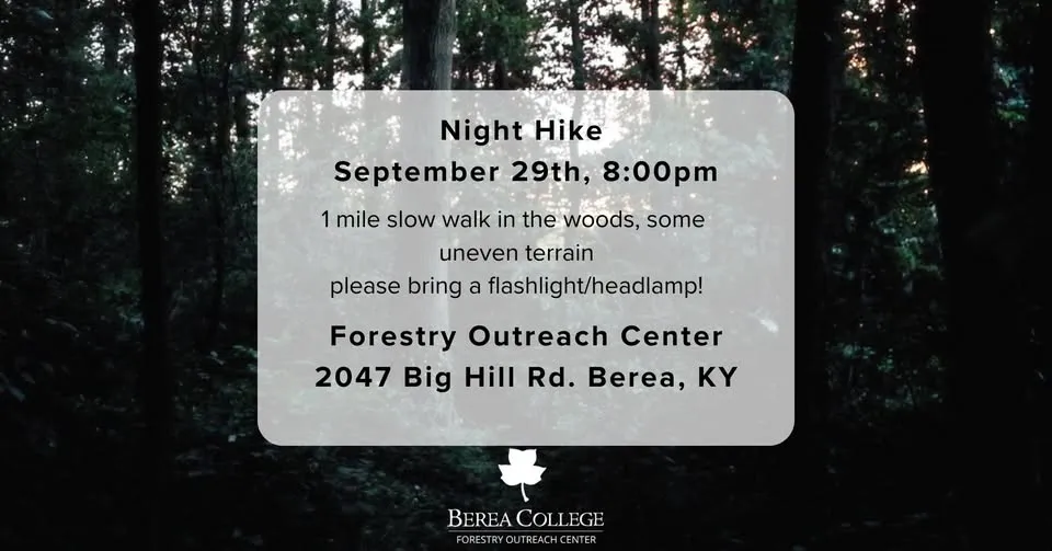 Night Hike