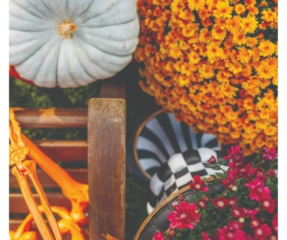 Halloween Planters Workshop