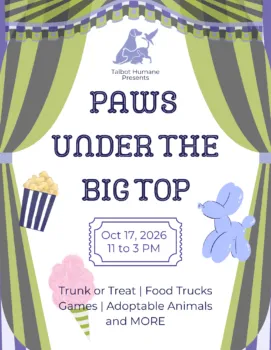Paws Under the Big Top