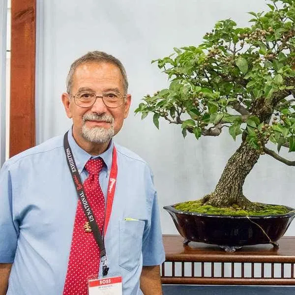 Trident Maple Forest Bonsai Workshop