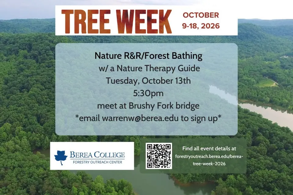 R&R/Forest Bathing