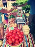 Ball Ground’s Farmer’s Market