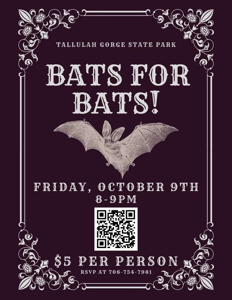 Bats for Bats!