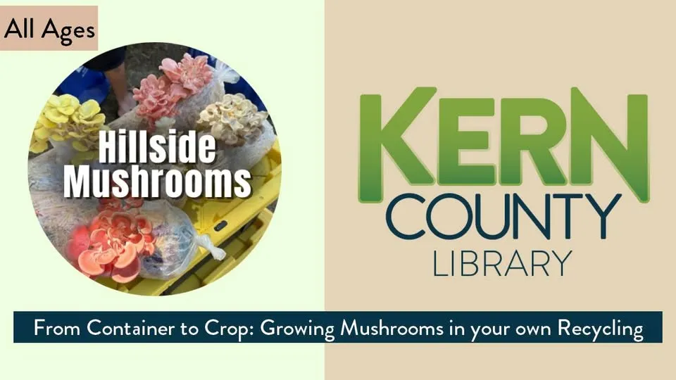 From Container to Crop: Growing Mushrooms in Your Own Recycling