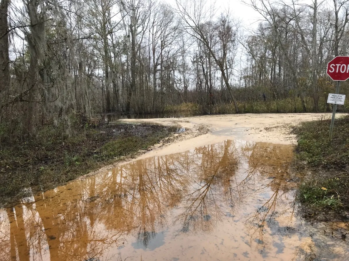 Pitch Landing