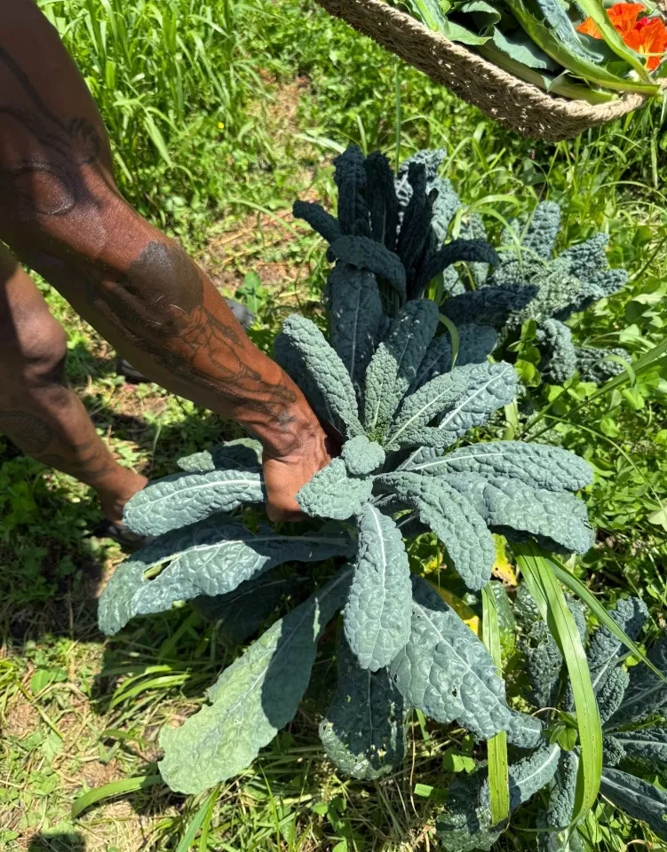 Fable & Sow Theatre Farm