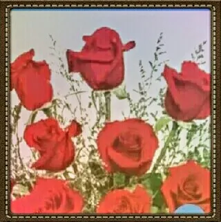 RPF FLORAL DESIGN STUDIO