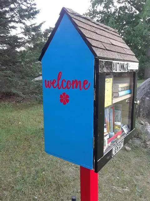 Little free library