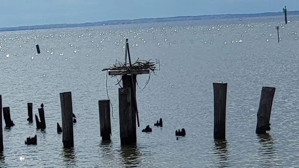 Claiborne Jetty