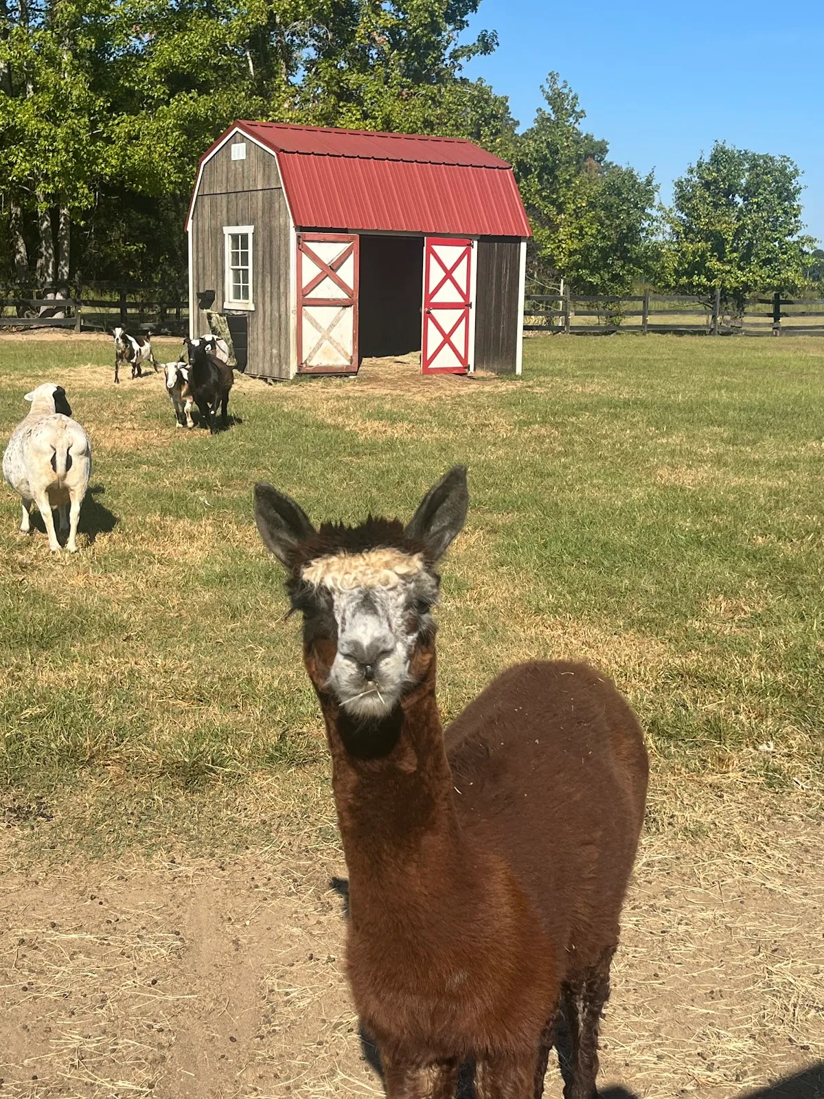 Dream Acres