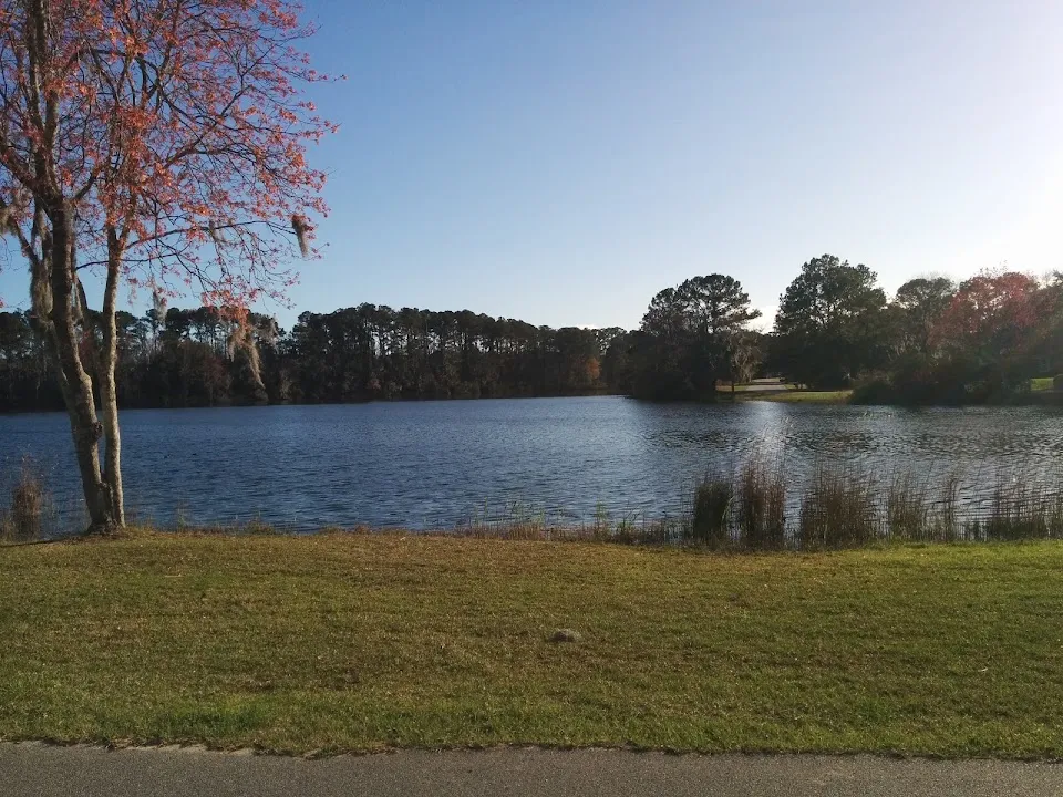 Lake Shore Development Inc