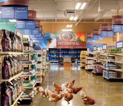 PetSmart