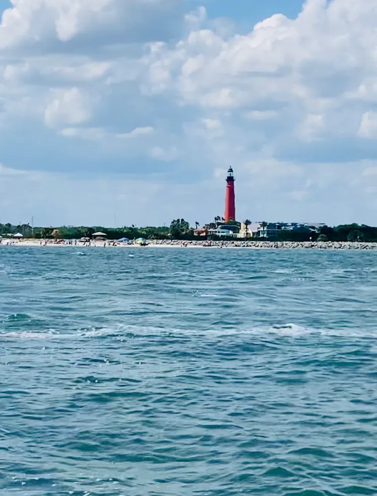 Ponce Inlet Watersports - Manatee & Dolphin Boat Tours