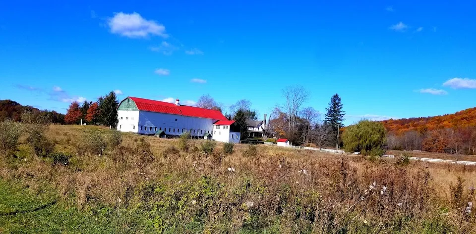 Océane Vineyards and Winery