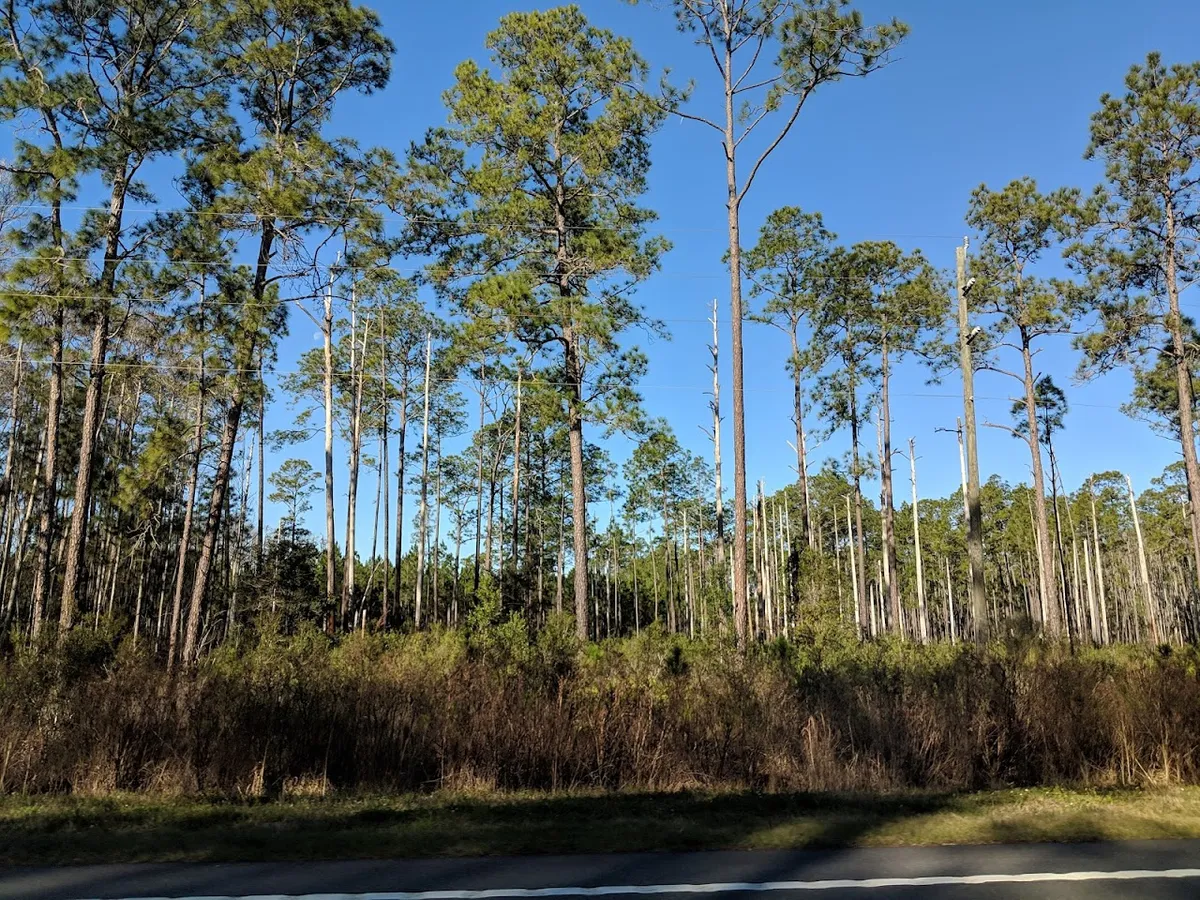 Richloam Wildlife Management Area