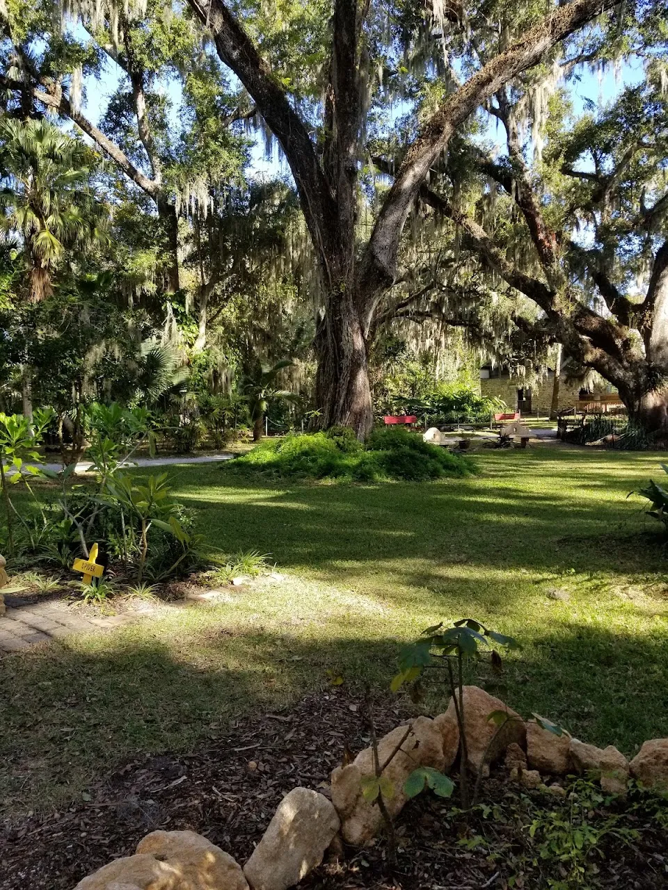Dunlawton Sugar Mill Gardens