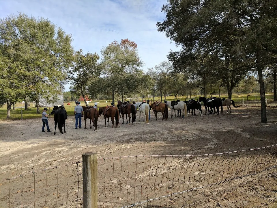 Southern Skies Ranch