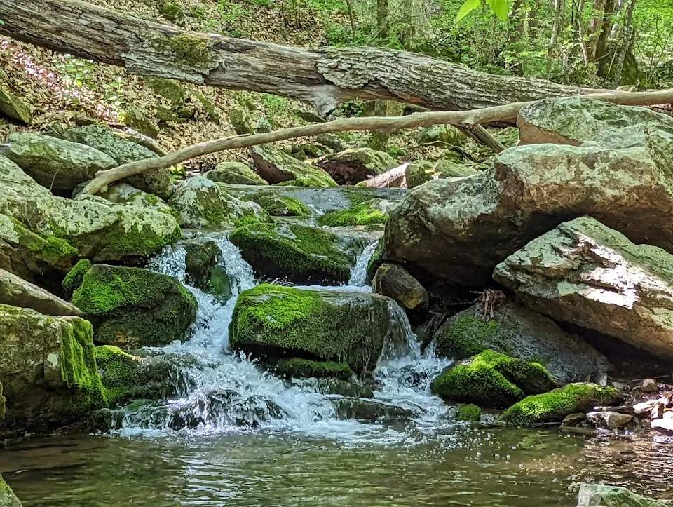 Stiles Falls