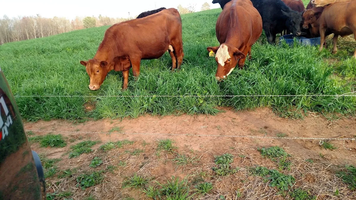 Anderson Farms Beef and Pork